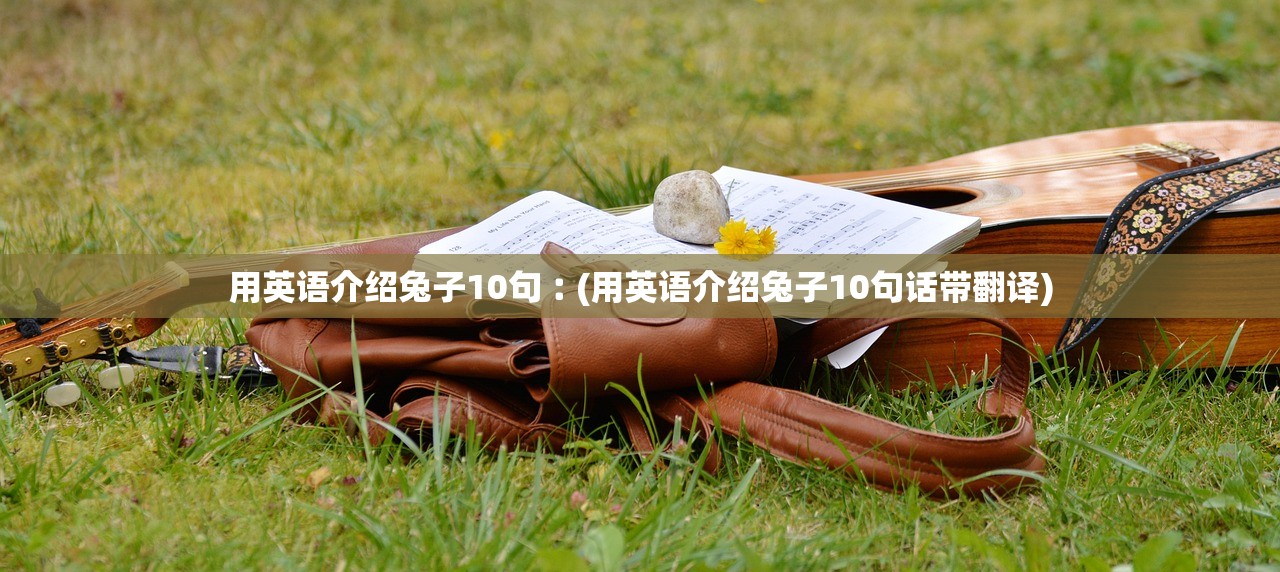 用英语介绍兔子10句︰(用英语介绍兔子10句话带翻译)
