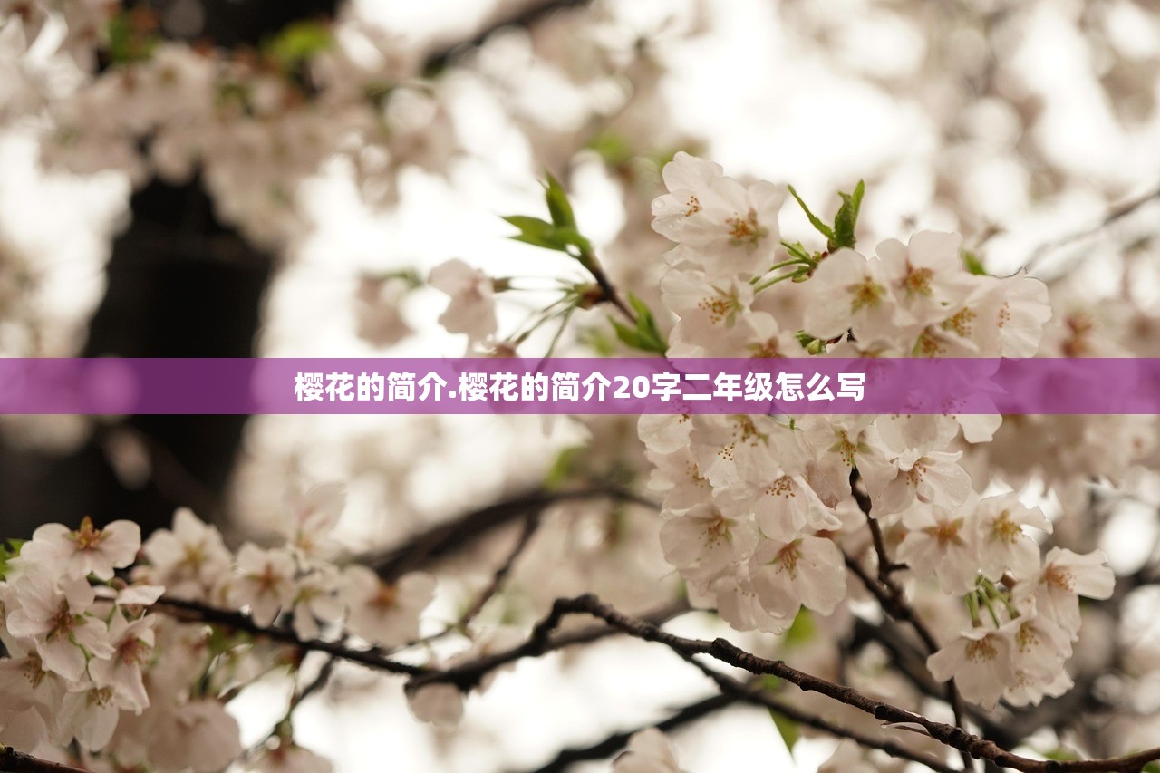 樱花的简介.樱花的简介20字二年级怎么写 樱花的简介.樱花的简介20字二年级怎么写