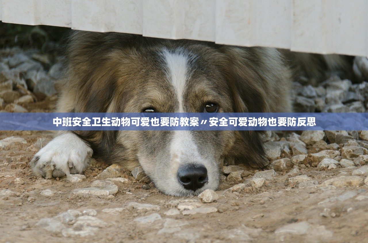 中班安全卫生动物可爱也要防教案〃安全可爱动物也要防反思