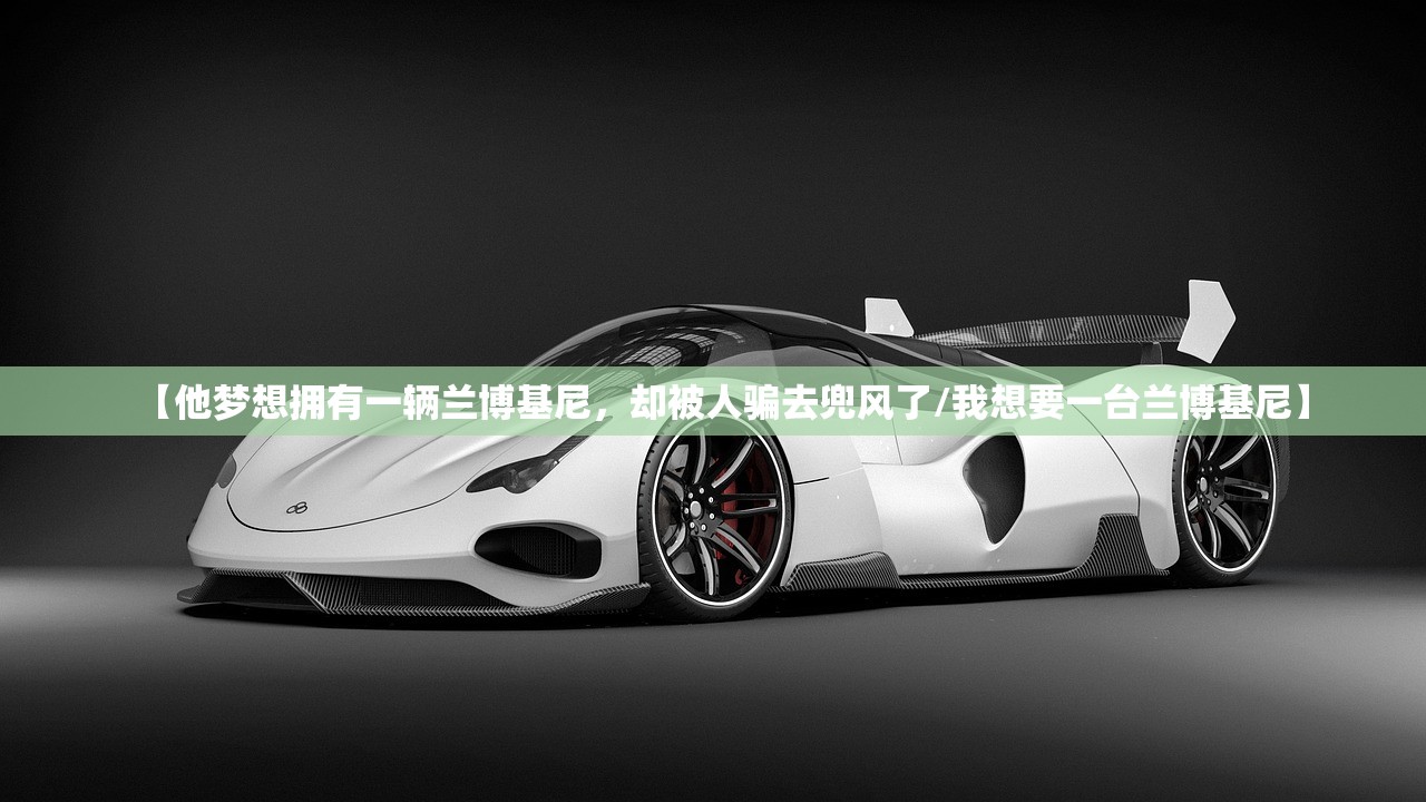 【他梦想拥有一辆兰博基尼，却被人骗去兜风了/我想要一台兰博基尼】
