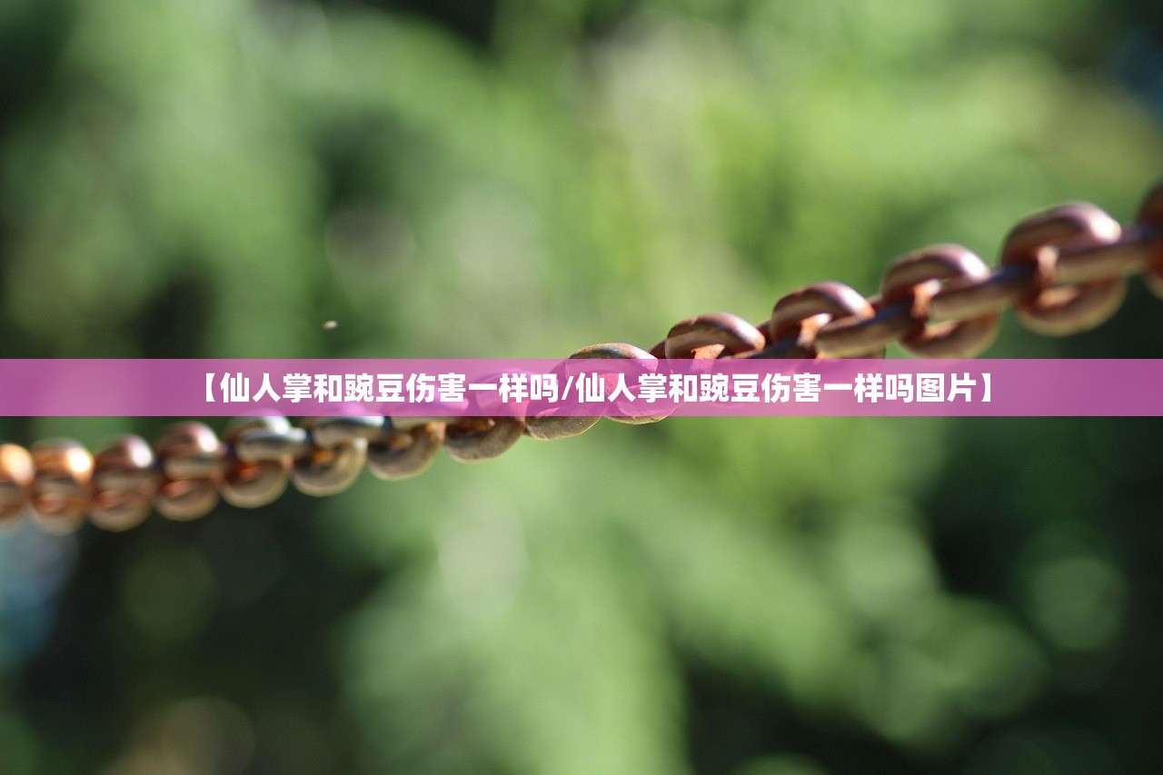 【仙人掌和豌豆伤害一样吗/仙人掌和豌豆伤害一样吗图片】
