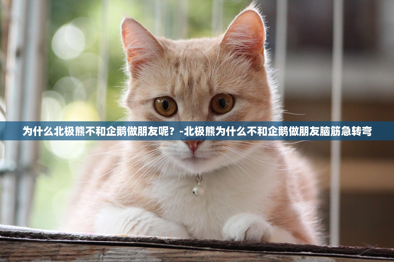 为什么北极熊不和企鹅做朋友呢?-北极熊为什么不和企鹅做朋友脑筋急转弯 为什么北极熊不和企鹅做朋友呢?-北极熊为什么不和企鹅做朋友脑筋急转弯
