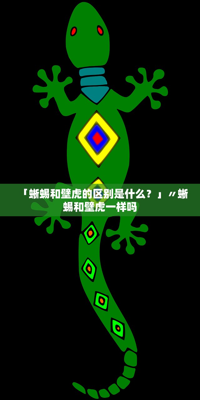 「蜥蜴和壁虎的区别是什么？」〃蜥蜴和壁虎一样吗
