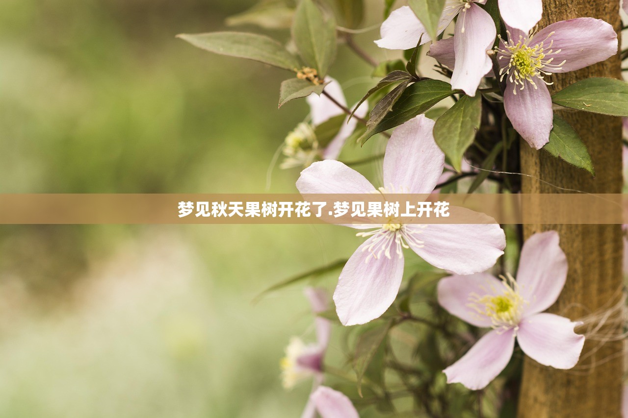 梦见秋天果树开花了.梦见果树上开花