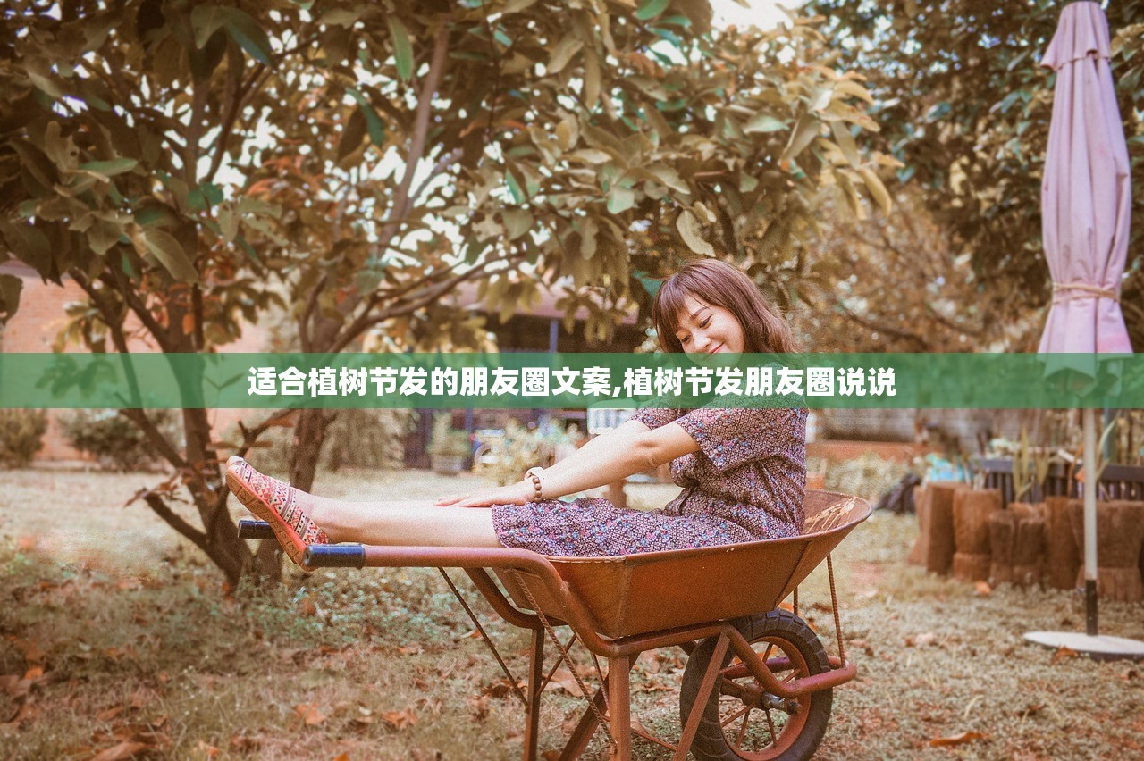 适合植树节发的朋友圈文案,植树节发朋友圈说说