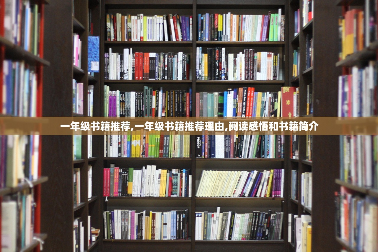 一年级书籍推荐,一年级书籍推荐理由,阅读感悟和书籍简介