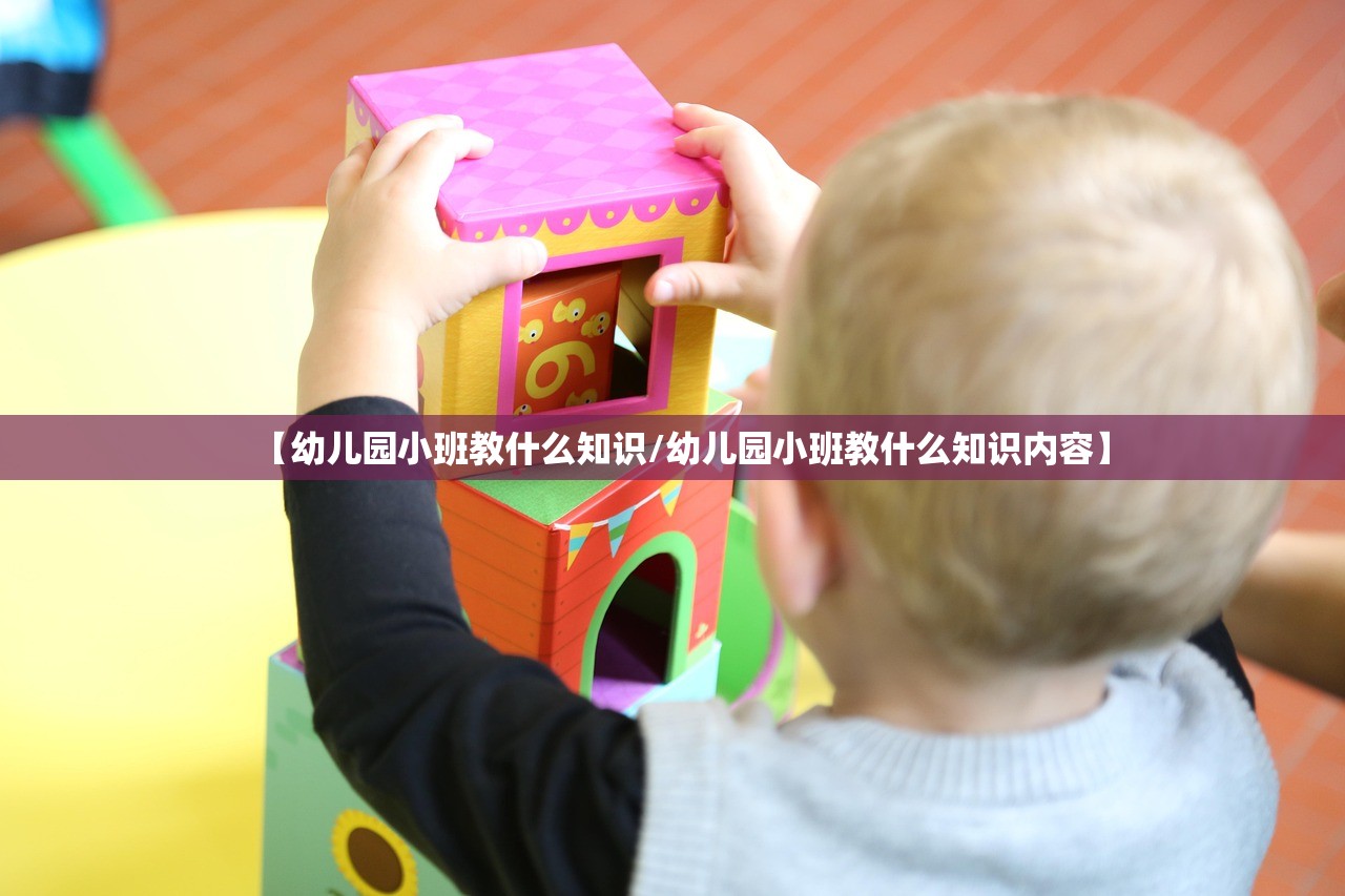 【幼儿园小班教什么知识/幼儿园小班教什么知识内容】