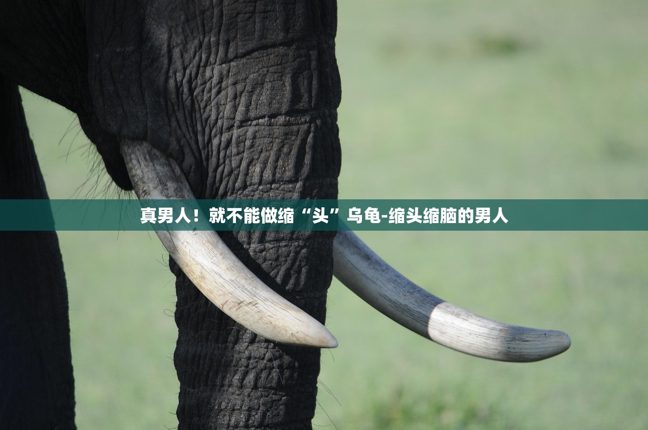 真男人！就不能做缩“头”乌龟-缩头缩脑的男人