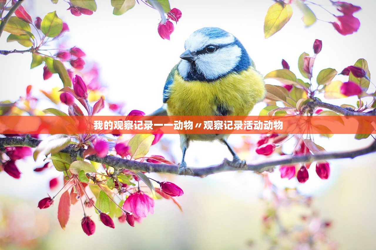 我的观察记录一一动物〃观察记录活动动物