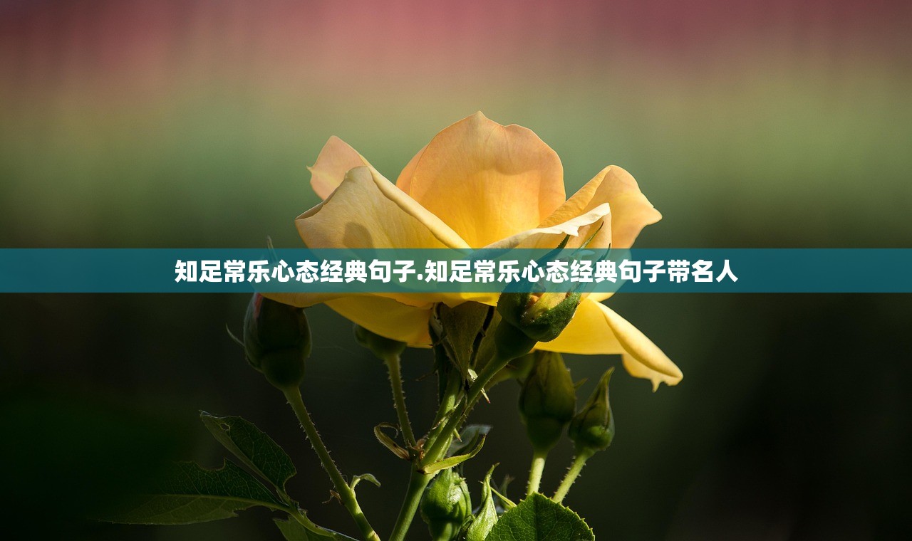 知足常乐心态经典句子.知足常乐心态经典句子带名人 知足常乐心态经典句子.知足常乐心态经典句子带名人