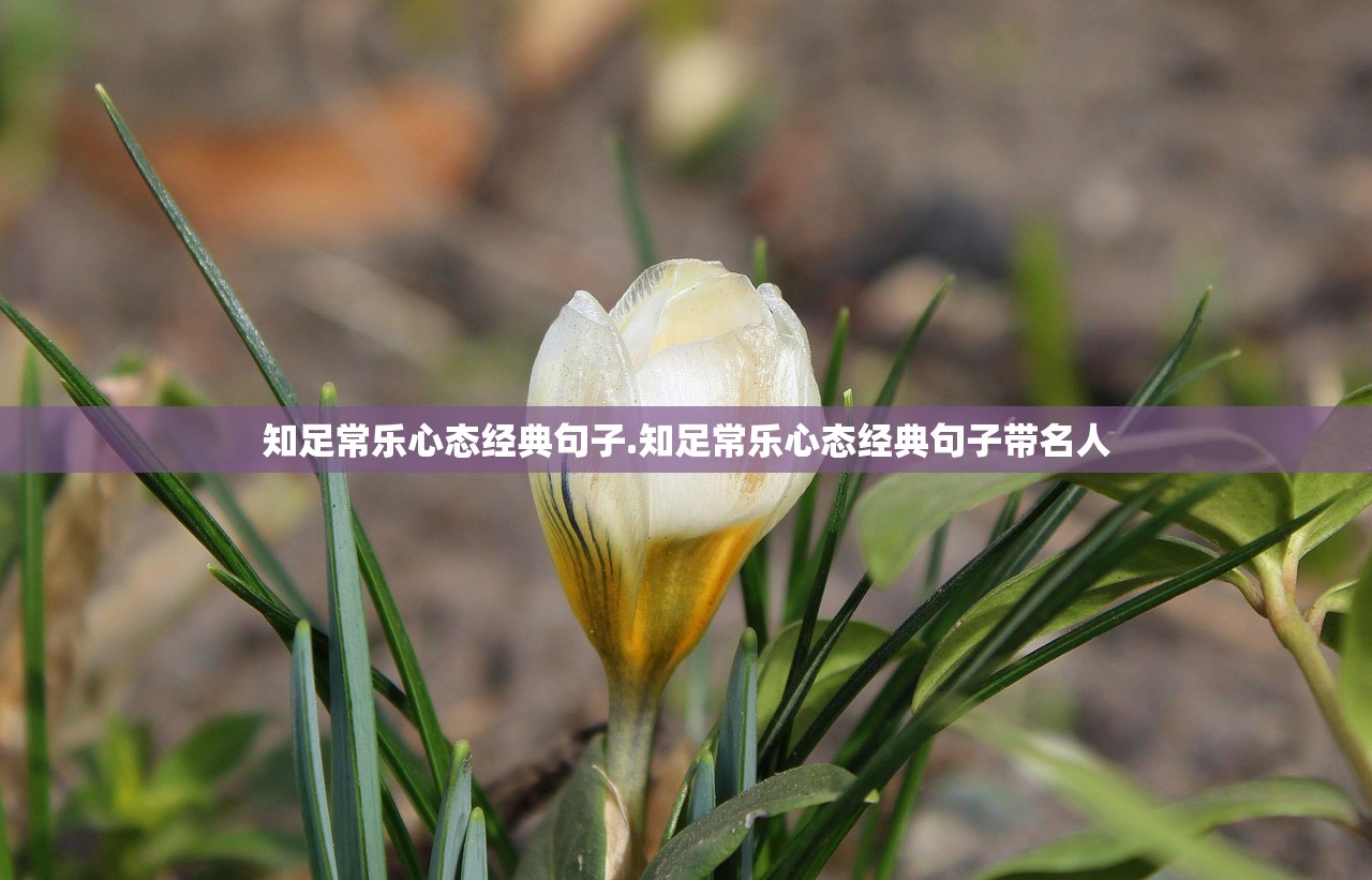 知足常乐心态经典句子.知足常乐心态经典句子带名人 知足常乐心态经典句子.知足常乐心态经典句子带名人