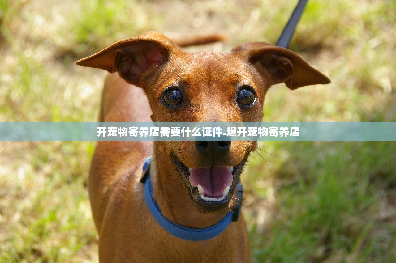 开宠物寄养店需要什么证件.想开宠物寄养店 开宠物寄养店需要什么证件.想开宠物寄养店